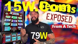 Programa VIP 79W